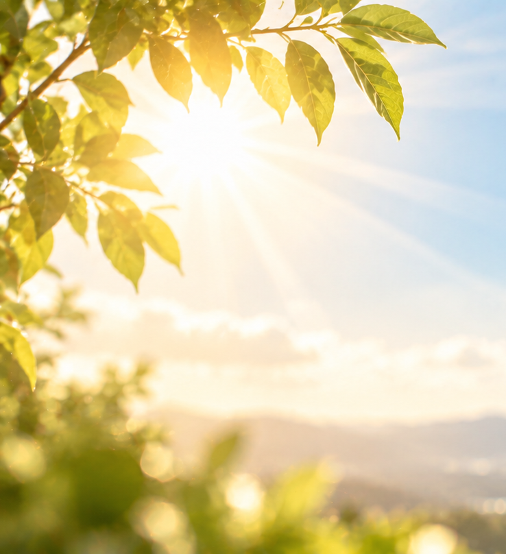 Everyday environmental exposure