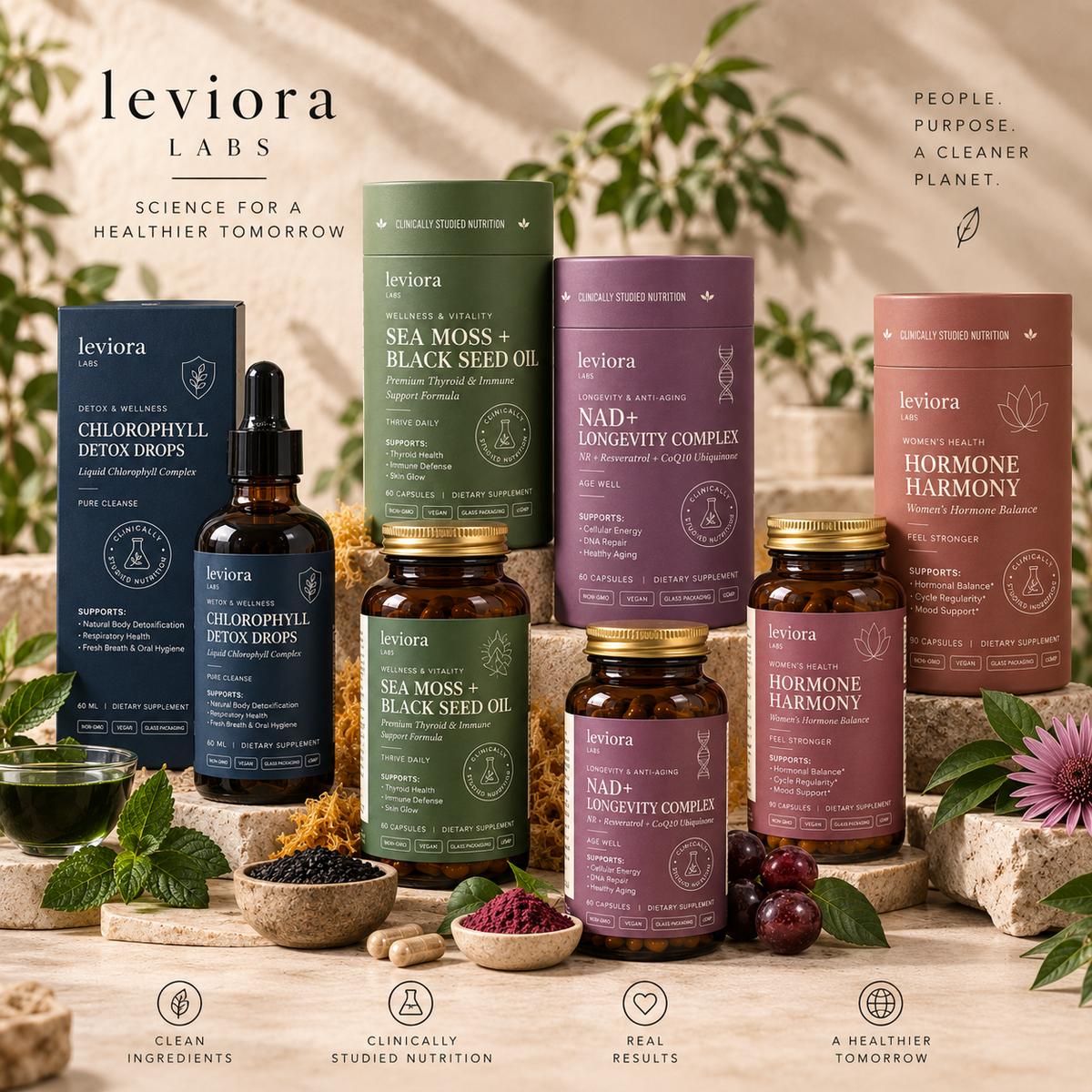 Learning about wellness